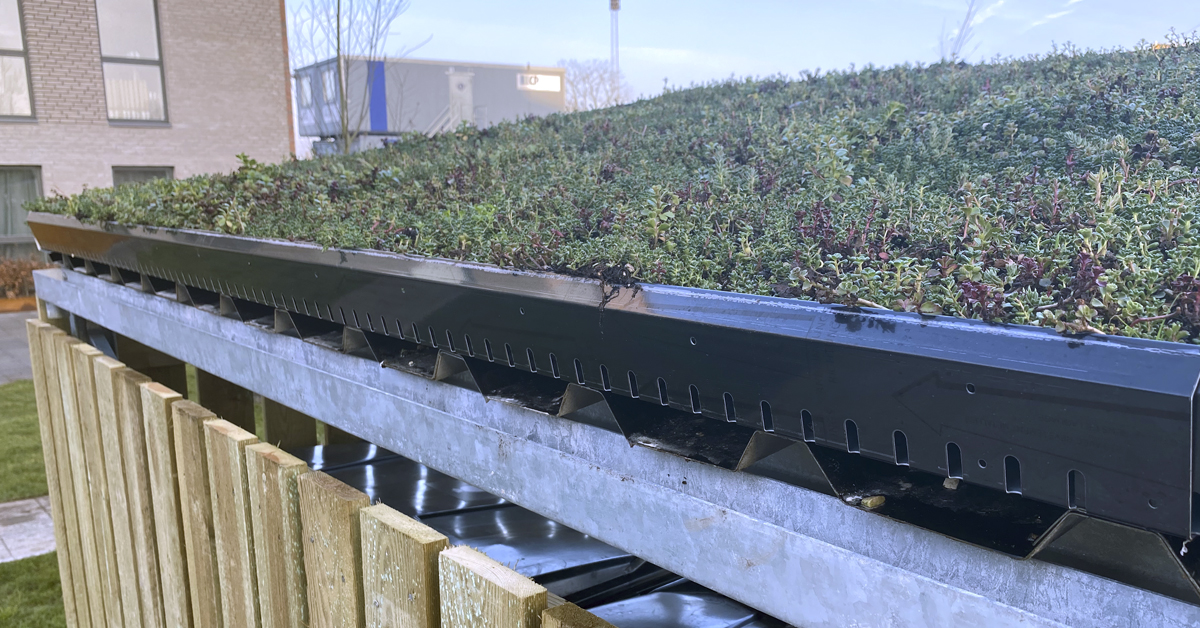 Sedumtag på cykelskur